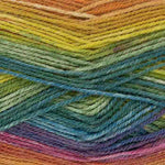 King Cole Bramble Double Knitting Yarn