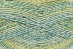 King Cole Acorn Aran Yarn 100g Ball