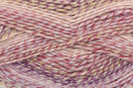 King Cole Acorn Aran Yarn 100g Ball