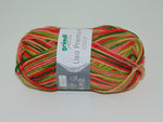 grundl Lisa Premium Color Double Knitting Yarn