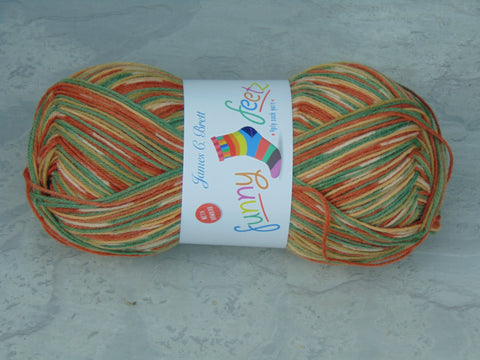 James C Brett Funny Feetz 4 Ply Sock Yarn with Bamboo